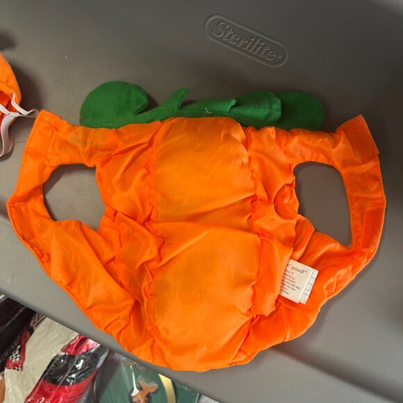 lookin' good! Dogs Pet's Halloween Pumpkin Costume Small Orange 100% Polyester - Picture 3 of 6